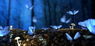 Czy zdjęcie faktury jest dokumentem księgowym?