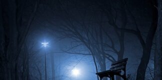 Co zabrać z Polski do Holandii?