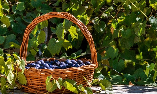 Ile słów zna native speaker?