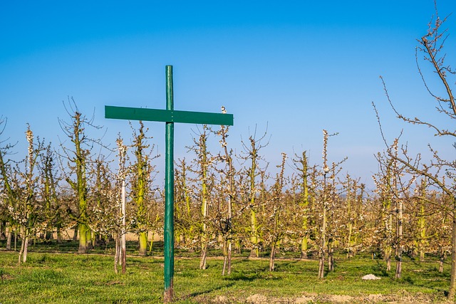 Jakie informacje powinien zawierać regulamin imprezy rekreacyjnej? Jakie informacje powinien zawierać regulamin imprezy rekreacyjnej?