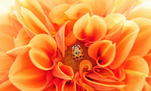 Ile czasu trwa efektywna nauka?