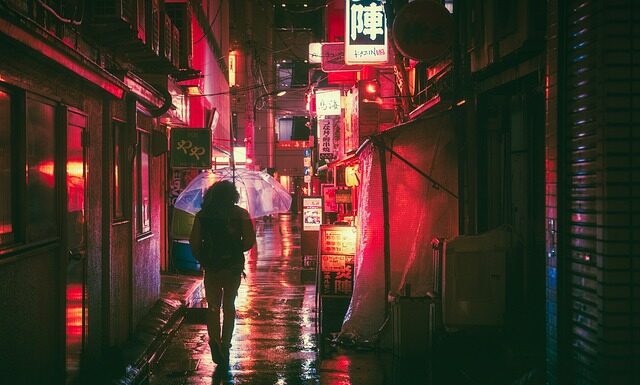 W jakim języku mówi się we Francji?