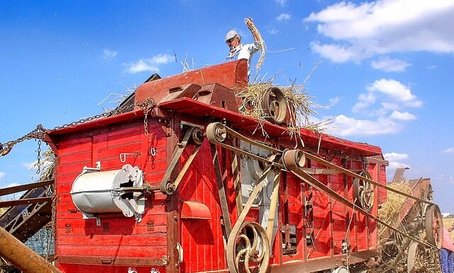Jak przygotować się do zawodów? Jak przygotować się do zawodów?