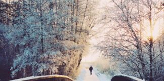 Jak szybko przejść z B2 na C1?