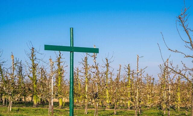 Jak napisać regulamin zawodów sportowych? Jak napisać regulamin zawodów sportowych?