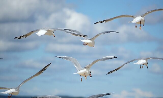 Jak rozwinąć mowę u dziecka?