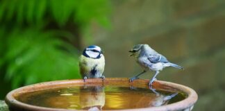 Kto mówi o sobie w 3 osobie?