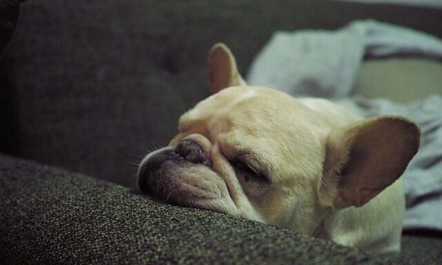 Co to są somatyczne objawy stresu? Co to są somatyczne objawy stresu?