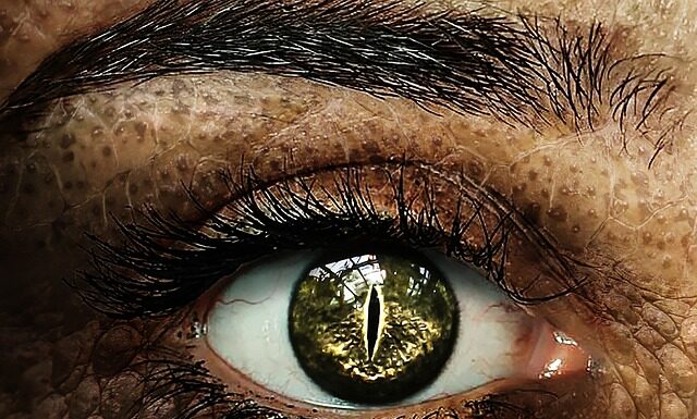 Co z ucznia który nie zdał egzaminu poprawkowego?