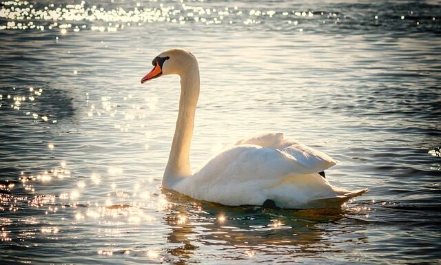 Jak długo można studiować za darmo?