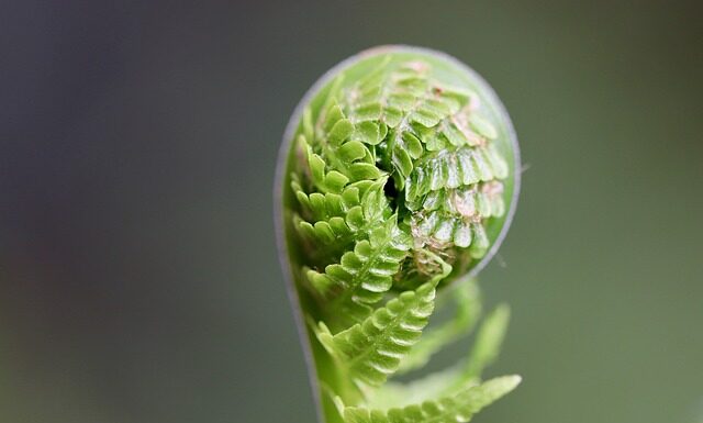 Jakie branże będą się rozwijać 2023?