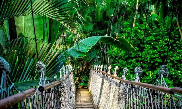 Ile trwa kurs księgowego?