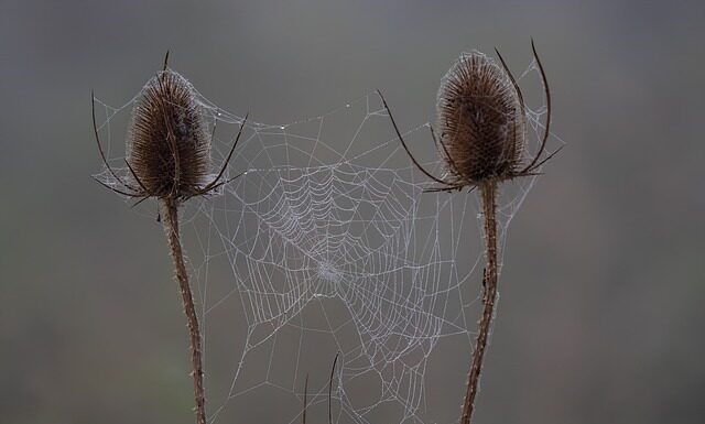 Czy na studiach są sprawdziany i kartkówki?