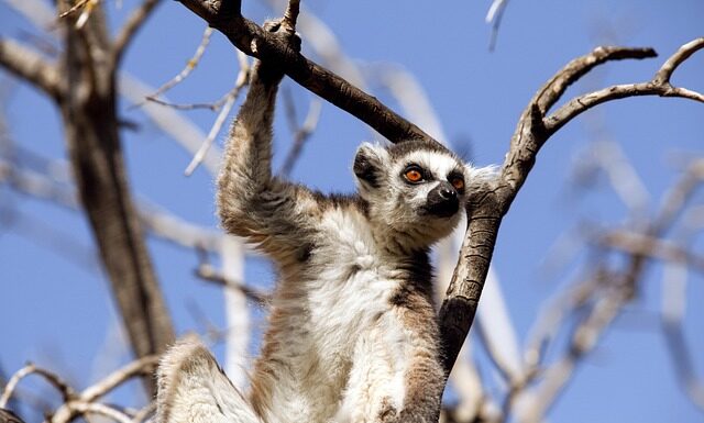 Co wpływa na zachowanie ludzi?