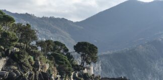 Ile kosztuje warunek?