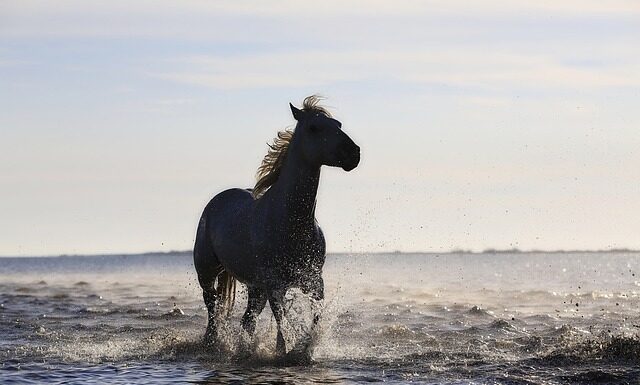 Gdzie powstały standardy US GAAP?