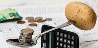 Ile kosztuje utrzymanie na studiach w Holandii?