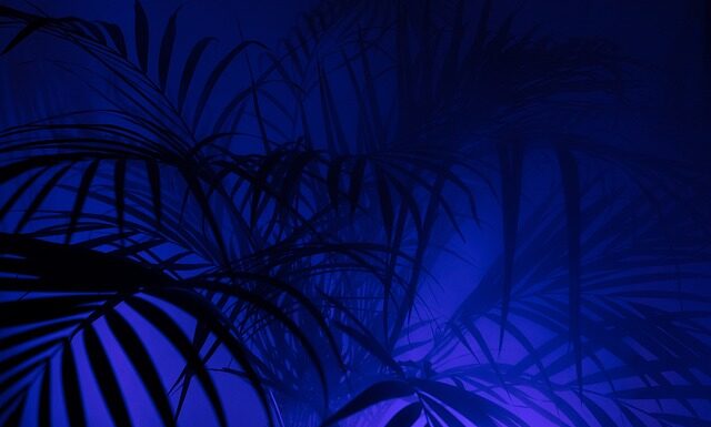 Co oznacza skrót KP w rachunkowości?