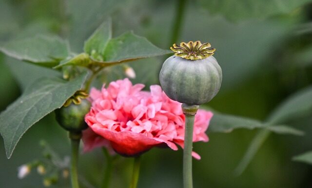 Czy u psychologa mówi się o narkotykach?