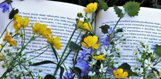 Jaka może być lekturą na egzaminie 2023?