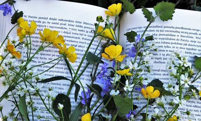 Jaka może być lekturą na egzaminie 2023?