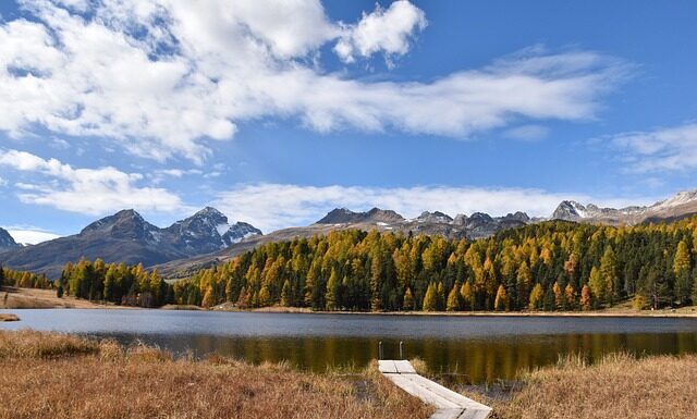 Ile trwa staż psychologa?