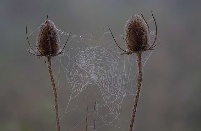 Czy są sprawdziany na studiach? Czy są sprawdziany na studiach?