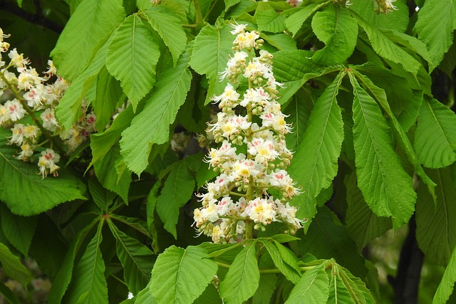 Ile trzeba mieć procent z matury aby dostać się na psychologię? Ile trzeba mieć procent z matury aby dostać się na psychologię?