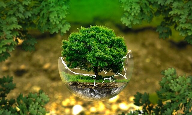 Czy można ułożyć sobie życie po 40?