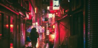 Z jakiej rodziny pochodzi język polski?