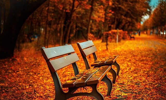 Ile dni odpoczynku po treningu?