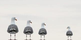 Jak założyć konto na zintegrowanej platformie edukacyjnej?