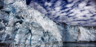 Co to jest Prince 2?