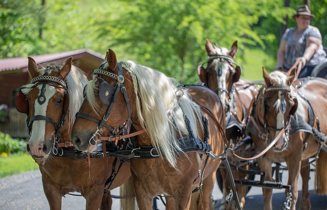 Ile serii i powtórzeń na klatkę? Ile serii i powtórzeń na klatkę?
