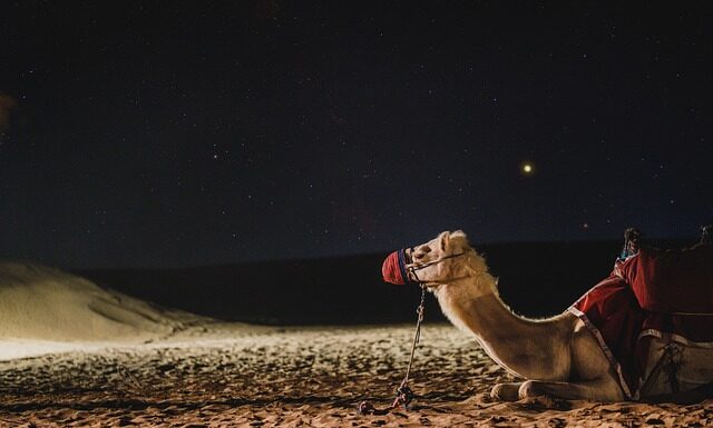 Z czego Dubaj ma pieniądze?