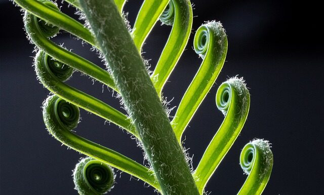 Czy da się zarabiać na Revolut?