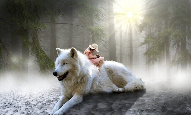 Ile kosztuje GIMP? Ile kosztuje GIMP?