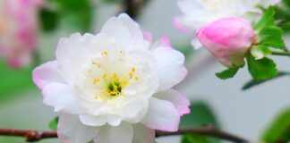 Ile jest rodzajów podatków w Polsce?