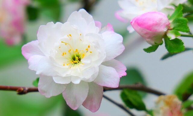 Ile jest rodzajów podatków w Polsce?