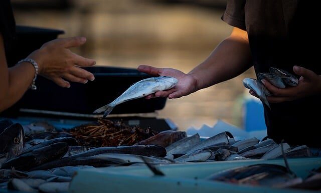 Jak legalnie sprzedawać w Internecie? Jak legalnie sprzedawać w Internecie?