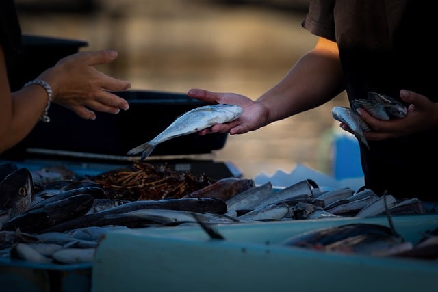 Jak legalnie sprzedawać w Internecie? Jak legalnie sprzedawać w Internecie?