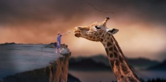 Gdzie można tanio żyć za granicą?