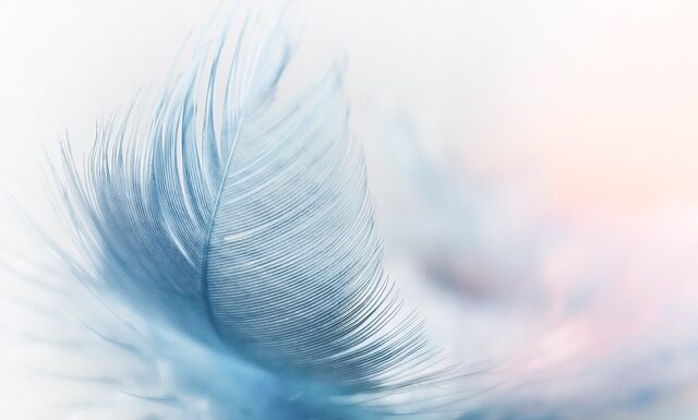 Jakie są platformy w Polsce? Jakie są platformy w Polsce?