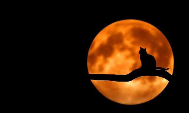 Co do domowego biura?