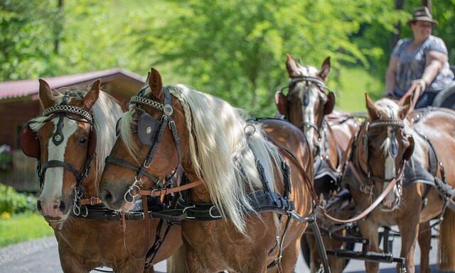 Z czym łączyć klatkę piersiową?