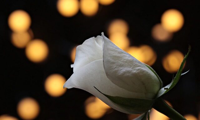 Od czego zacząć uzasadnienie?